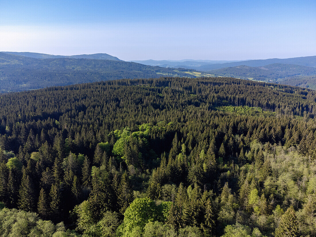 Forest landscape on Pancíř Mountain in the Šumava Biosphere Reserve near Železná Ruda in the Bohemian Forest in the Czech Republic