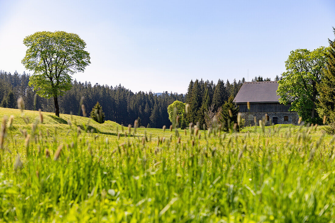 Altes Bauernhaus und Wiesenlandschaft im Biosphärenreservat Šumava bei Nový Brunst bei Železná Ruda, Böhmerwald, Tschechien