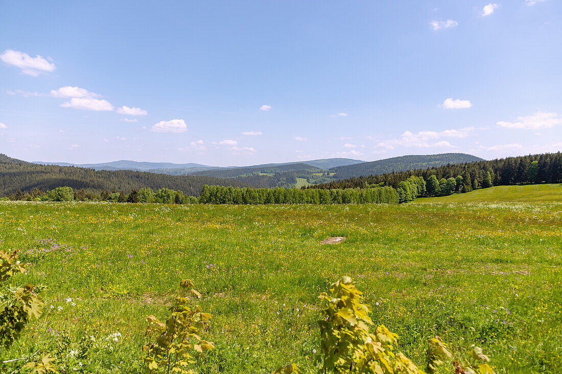 Valley of the Křemelná near Prášily in the Šumava National Park in the Bohemian Forest in the Czech Republic