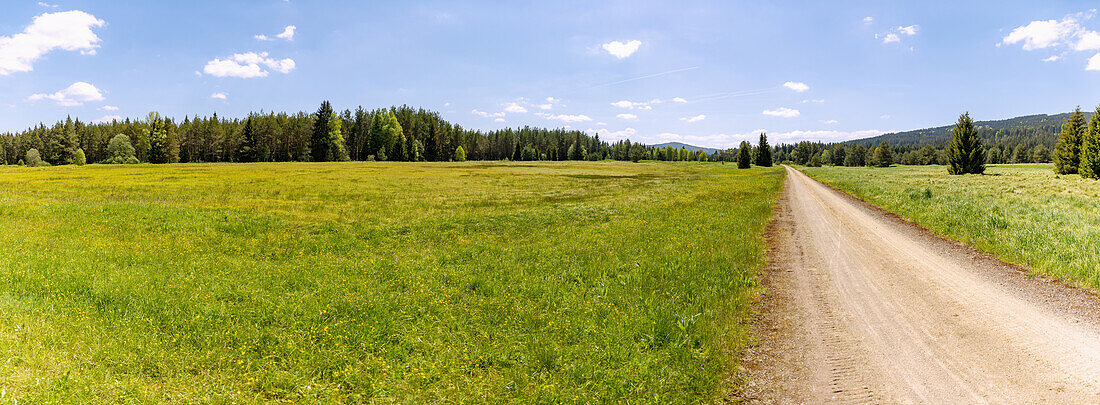 Wiesenlandschaft bei Prášily im Nationalpark Šumava im Böhmerwald, Tschechien