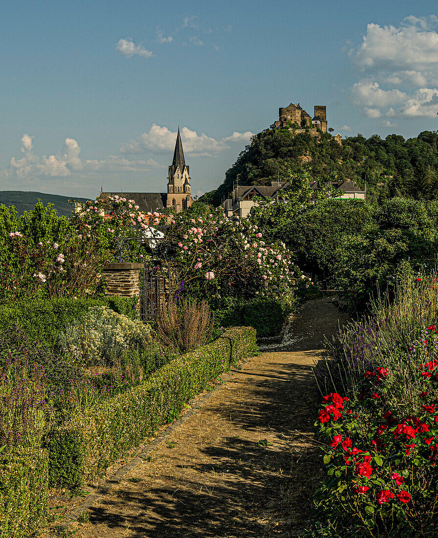 View from the city wall garden to the Church of Our Lady and the Schönburg, Oberwesel, Upper Middle Rhine Valley, Rhineland-Palatinate, Germany