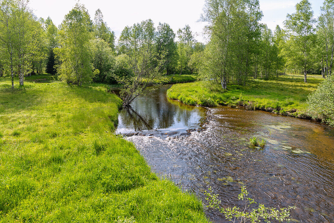 Kalte Moldau im Moldautal bei Černý Kříž im Nationalpark Šumava, Böhmerwald, Tschechien