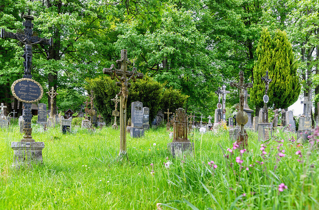 Stožec Cemetery with old German graves in České Žleby in the Vltava Valley in the Bohemian Forest in the Czech Republic