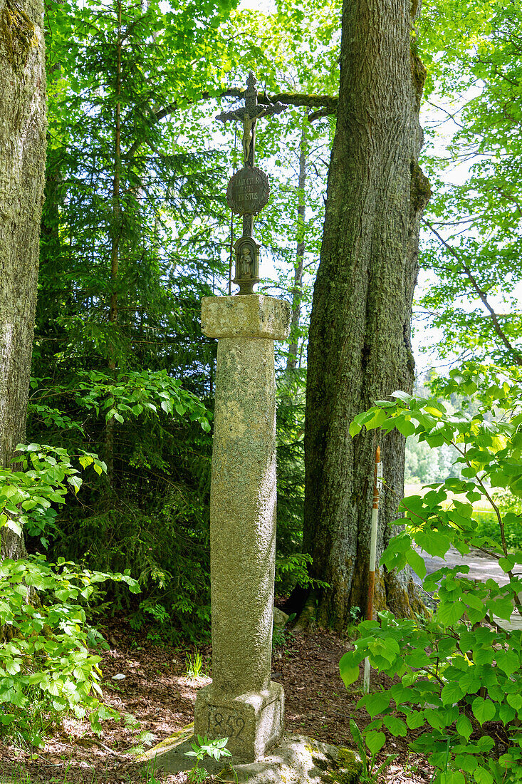 old wayside cross on the Vltava cycle path near Horní Planá in the Vltava valley near Nová Pec in the Bohemian Forest in the Czech Republic