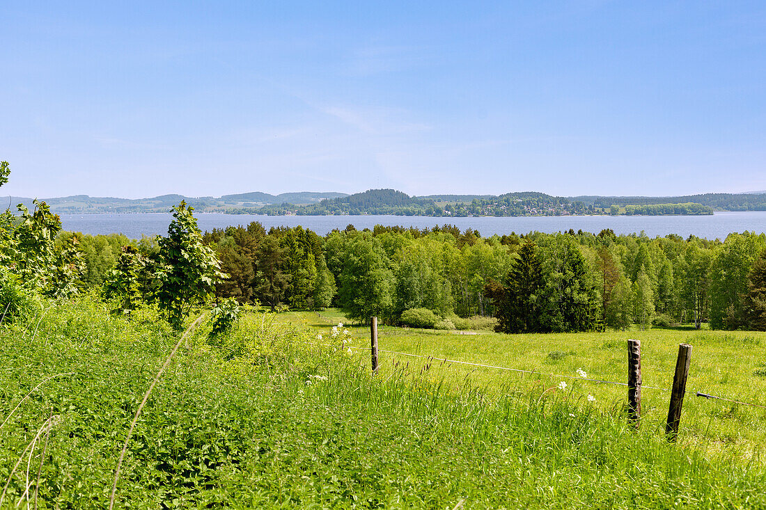 Ausblick auf den Lipno-Stausee und Dolní Vltavice vom Moldau-Radweg bei Přední Zvonková, Moldautal, Tschechien