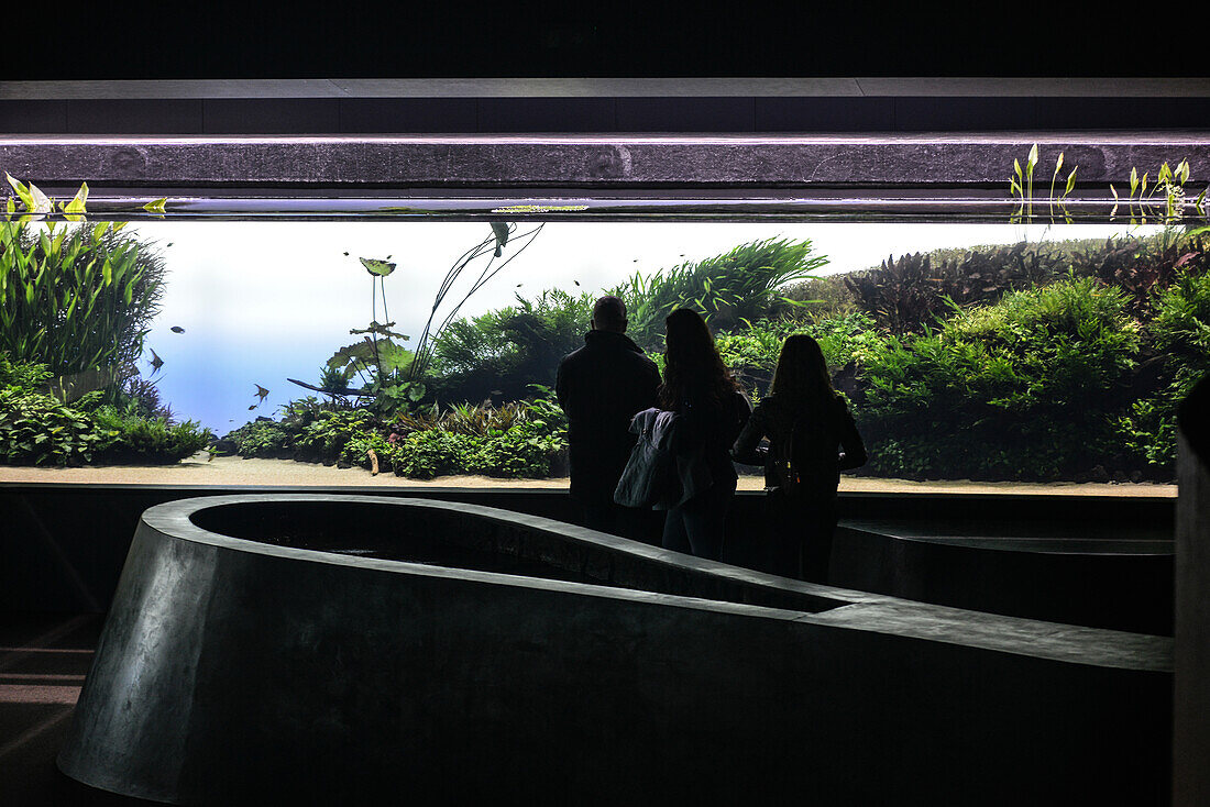 Forests Underwater, Ausstellung von Takashi Amano, Oceanario, Oceanário de Lisboa, Lissabon, Portugal