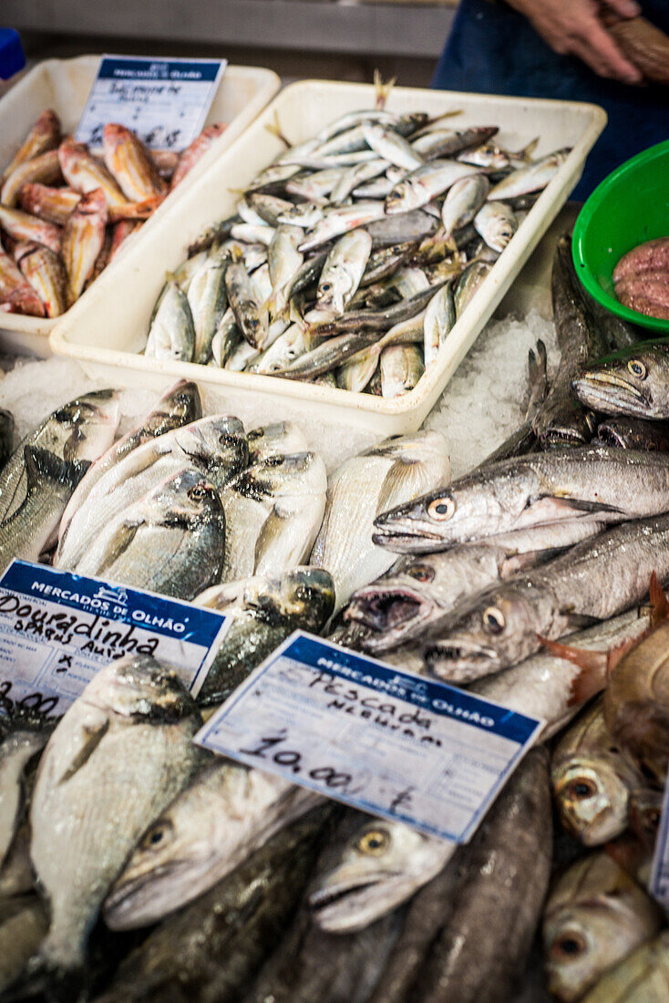 Fischmarkt, Tavira, Algarve, Portugal