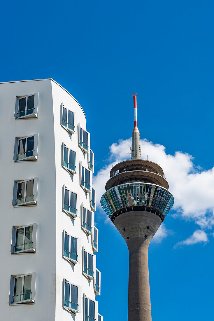Gehry-Bauten und Rheinturm, Medienhafen, Neuer Zollhof, Düsseldorf, Nordrhein-Westfalen, Deutschland, Europa