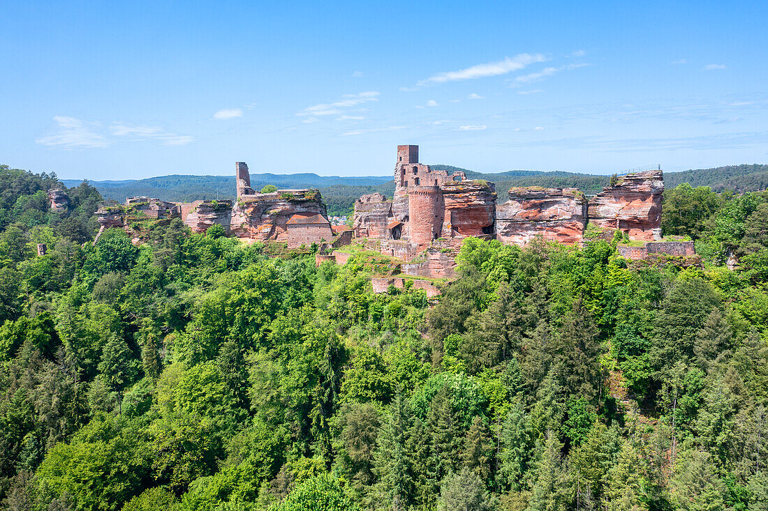 Die Burgengruppe Alt-Dahn, Dahner Felsenland, bei Dahn, Pfälzerwald, Wasgau, Rheinland-Pfalz, Deutschland