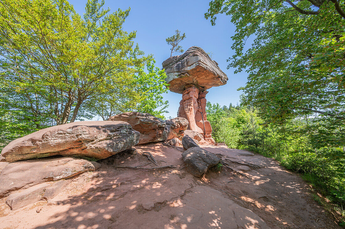 Teufelstisch bei Hinterweidenthal, Pfälzer Wald, Wasgau, Dahner Felsenland, Rheinland-Pfalz, Deutschland