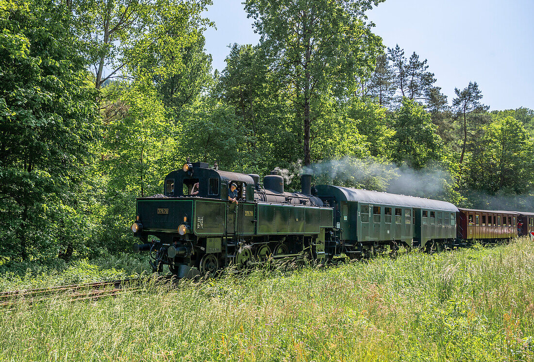 The Kuckucksbähnel museum railway near Breitenstein, Palatinate Forest Rhineland-Palatinate Germany