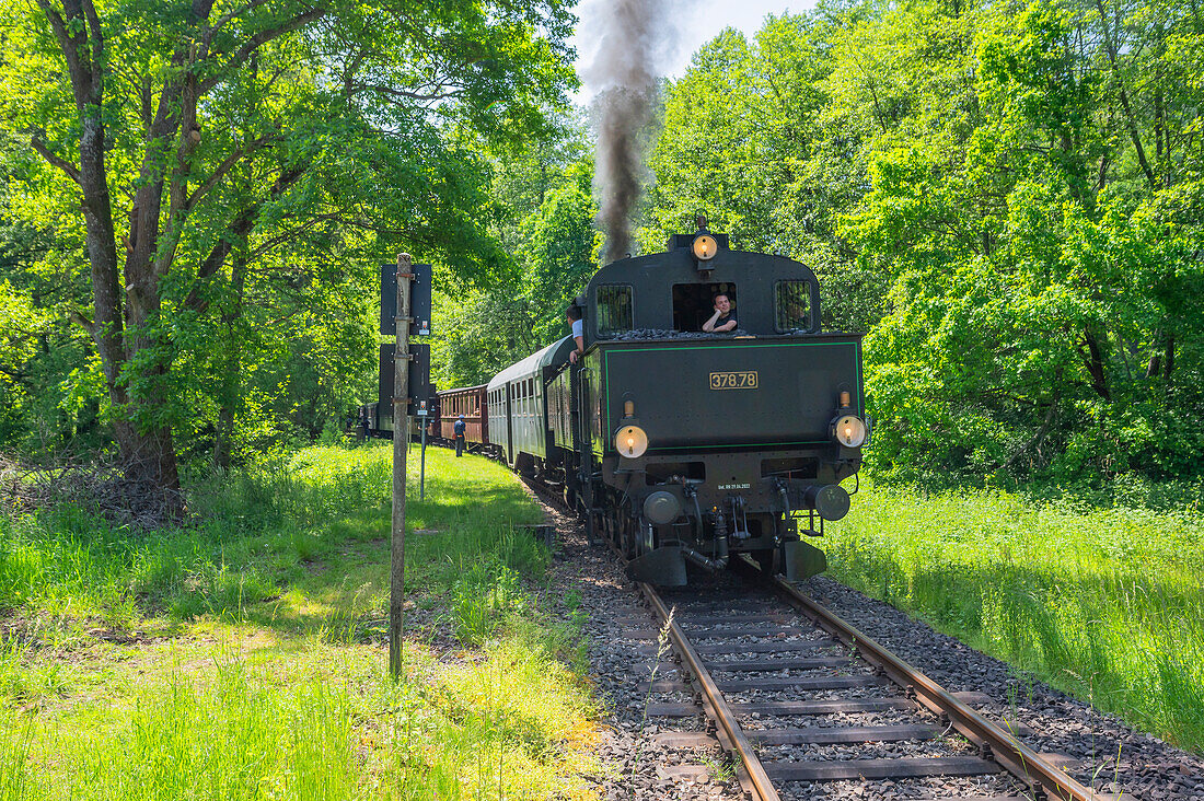 Die Museumsbahn Kuckucksbähnel bei Breitenstein, Pfälzerwald, Rheinland-Pfalz, Deutschland