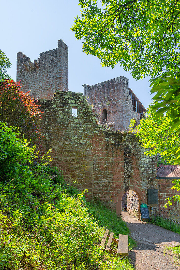 Spangenberg Castle, Palatinate Forest, Rhineland-Palatinate, Germany