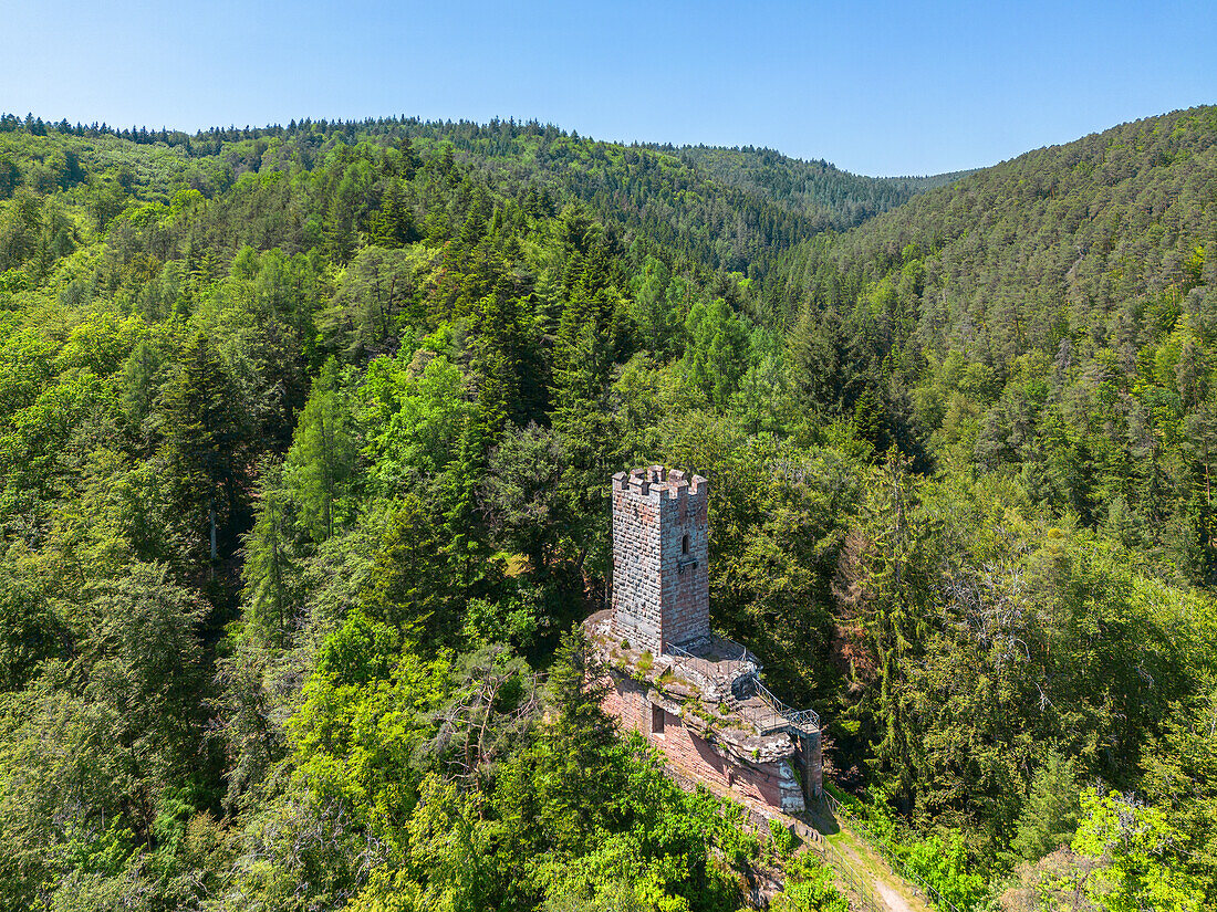 Die Burg Erfenstein, Pfälzerwald, Rheinland-Pfalz, Deutschland