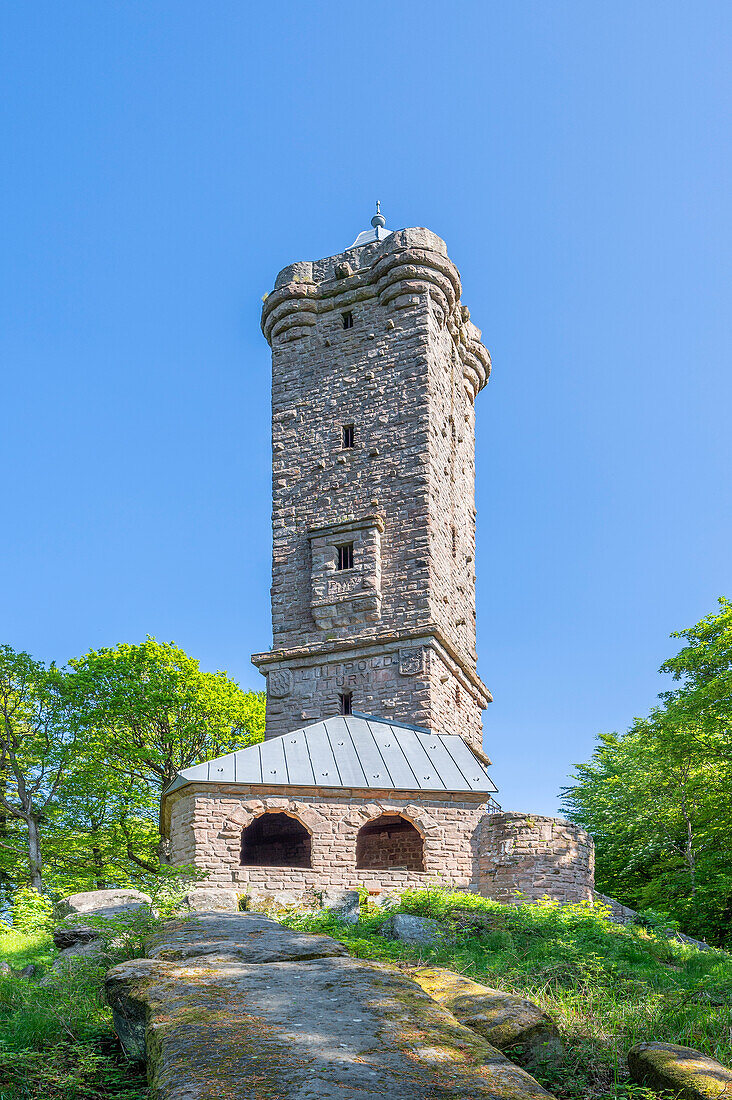 Luitpoldturm, Hermersbergerhof, Wilgartswiesen, Pfälzerwald, Rheinland-Pfalz, Deutschland