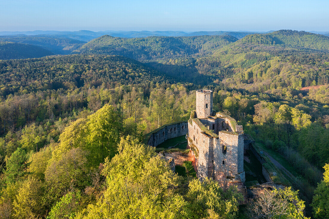 Burg Gräfenstein, Merzalben, Pfälzer Wald, Rheinland-Pfalz, Deutschland