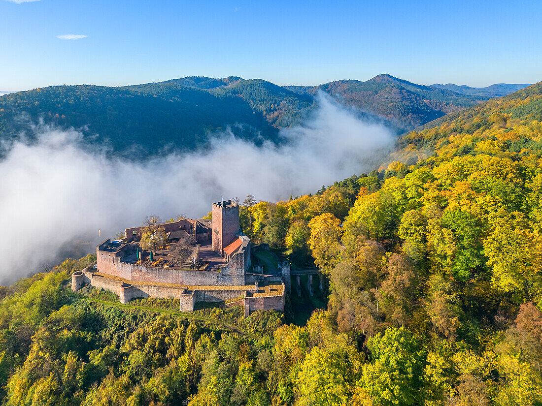 Landeck Castle above Klingenmünster, German Wine Route, Palatinate Forest, Wasgau, Southern Wine Route, Rhineland-Palatinate, Germany