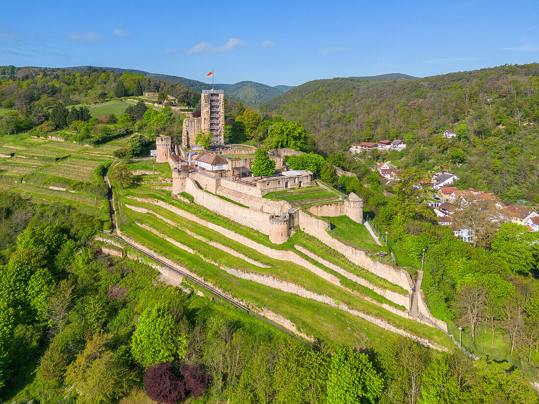 Wachtenburg ruins in Wachenheim near Bad Dürkheim, Haardt, Southern Wine Route, Wachenheim an der Weinstrasse, German Wine Route, Palatinate Forest, Rhineland-Palatinate Germany