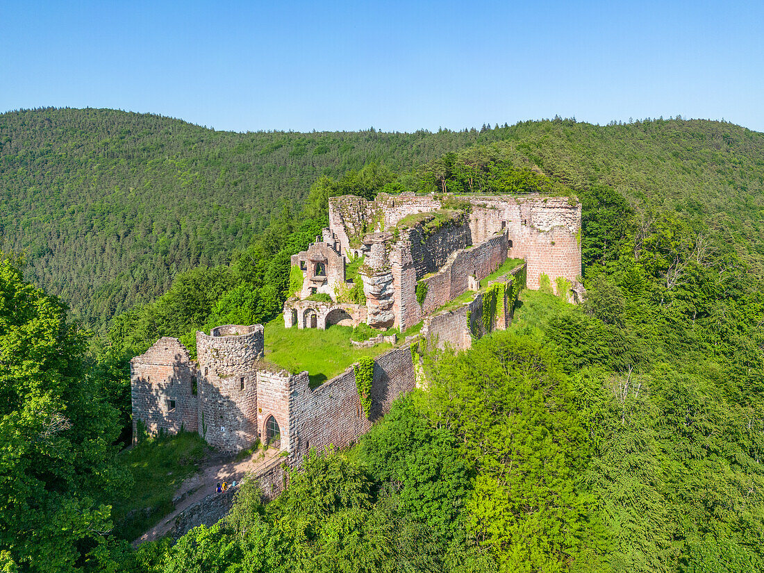 Castle ruins of Neu Scharfeneck, Ramberg, Palatinate Forest, Rhineland-Palatinate, Germany