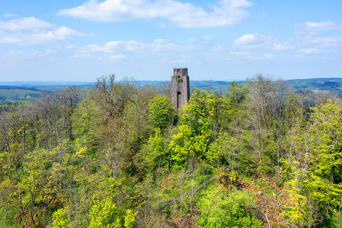 The Kaiser Wilhelm Tower on the Hohe Acht (High Eight) near Adenau, Eifel, Rhineland-Palatinate, Germany