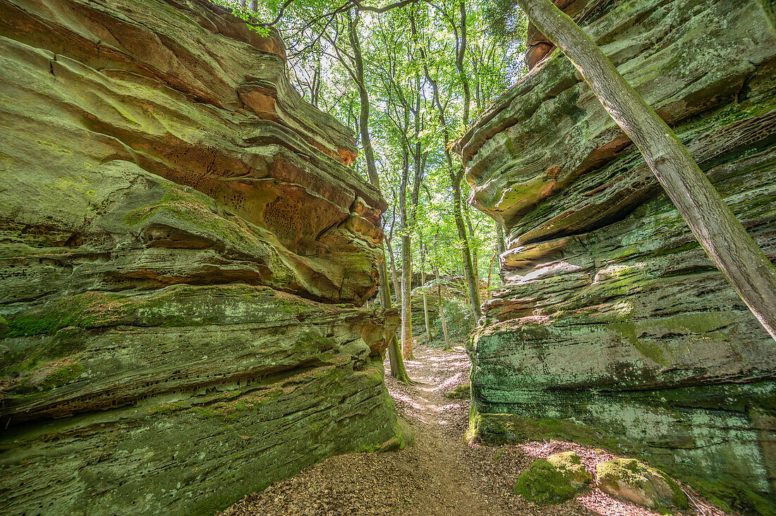 Hunnentor rocks of the Green Hell near Bollendorf an der Sauer, Sauertal, Bollendorf, Eifel, Rhineland-Palatinate, Germany