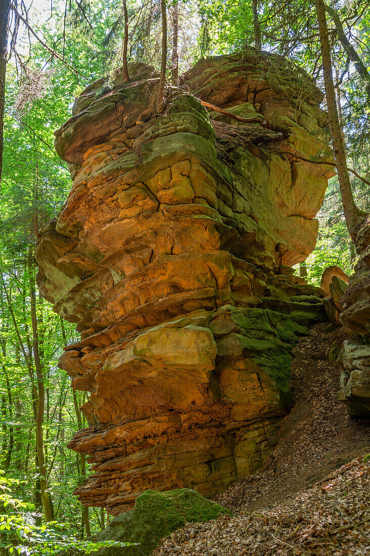 Rocks of the Green Hell near Bollendorf an der Sauer, Sauertal, Bollendorf, Eifel, Rhineland-Palatinate, Germany