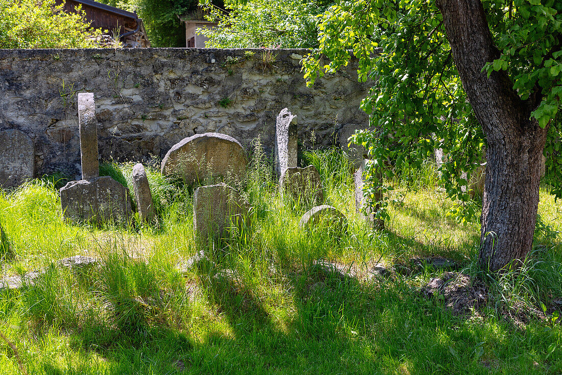 Alter jüdischer Friedhof, Rožmberk nad Vltavou, Südböhmen, Tschechien