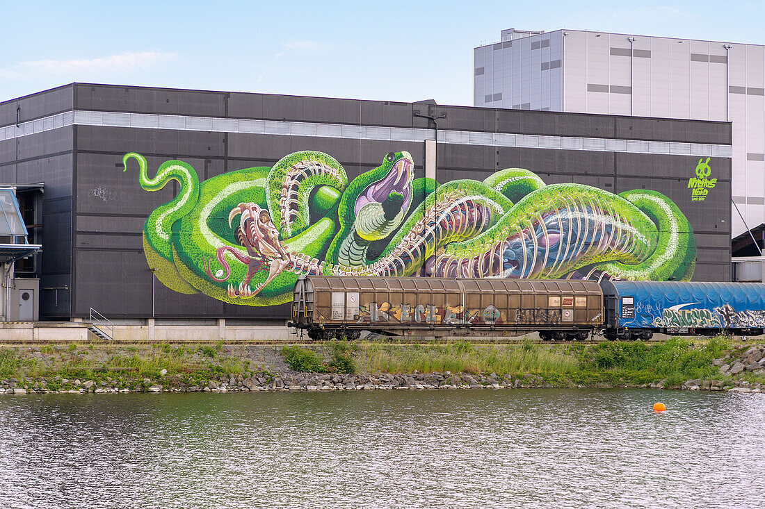Mural Harbor with Mural &quot;Translucent Serpent&quot; by Nychos in Linz in Oberösterreich in Austria