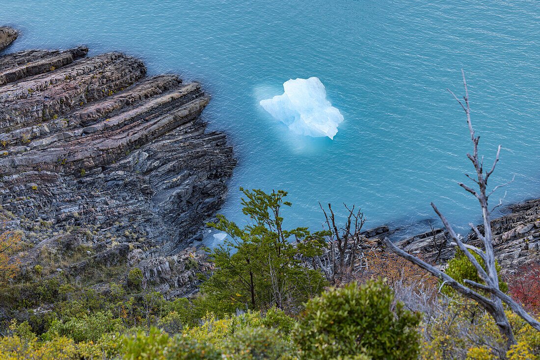 A small iceberg next to jagged rocks and bushes and trees at Lago Argentino, Los Glaciares National Park, Argentina, Patagonia, South America