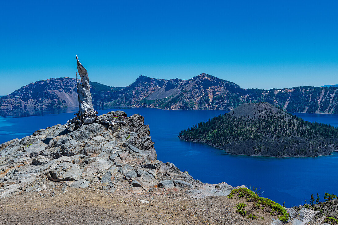 Watchman-Aussichtsbereich auf den Crater Lake, Crater Lake National Park, Oregon, USA