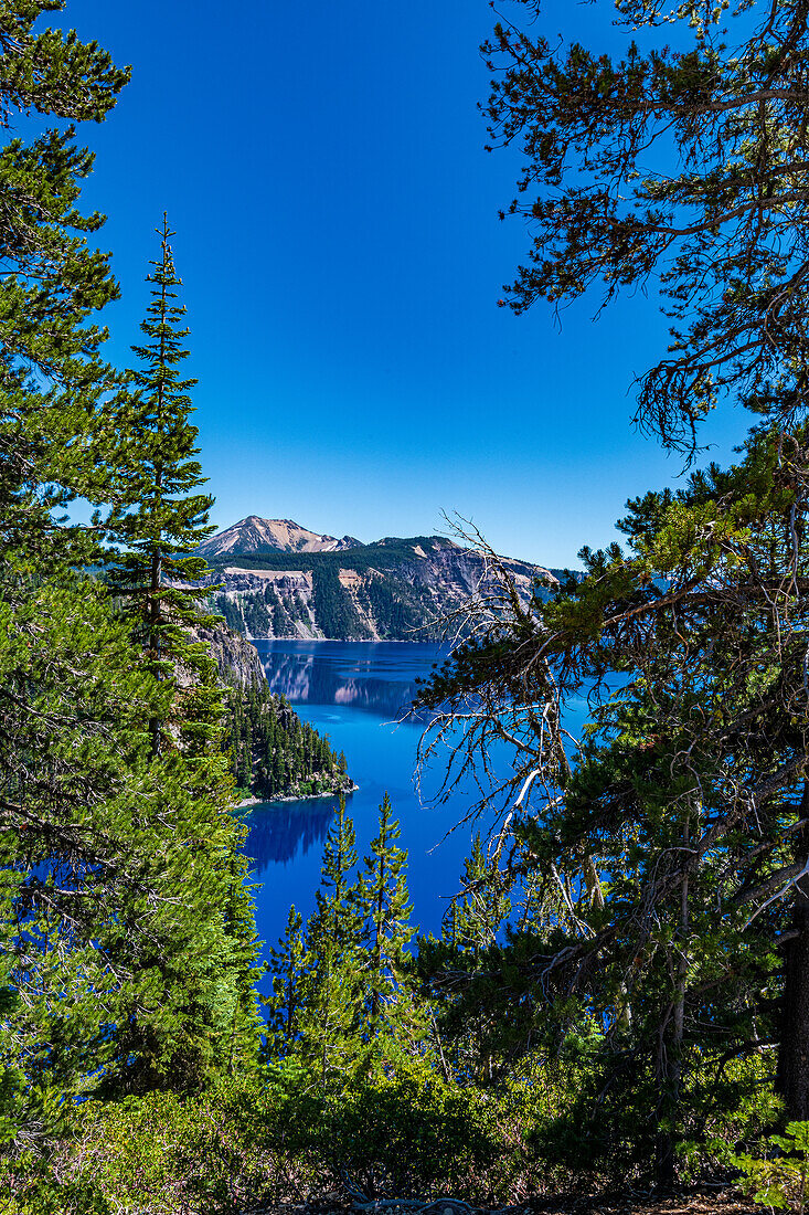 Views of Steel bay in Crater Lake National Park