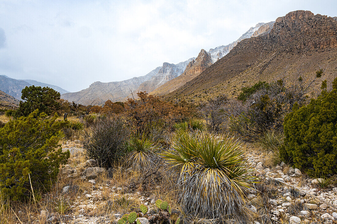 Blick auf die Berge und Felsengipfel, Guadalupe-Mountains-Nationalpark, Texas, USA