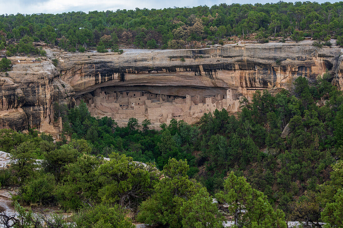 One of the largest cliff dwellings in Mesa Verde National Park