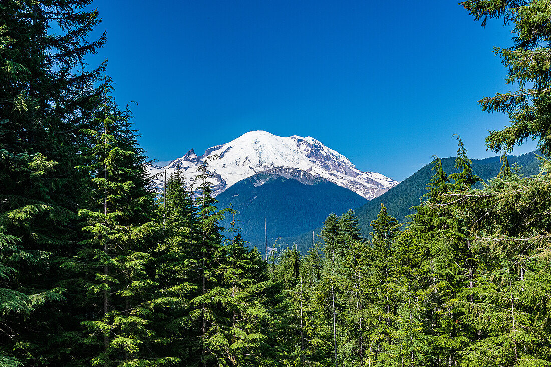 Morgenlicht auf Mount Rainier, Mount-Rainier-Nationalpark,  Washington, USA