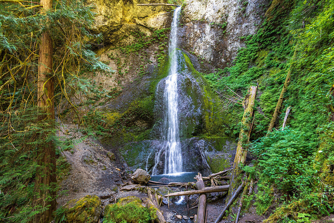Wasserfall im Regenwald entlang des Marymere Falls Trail, Olympic National Park, Washington, USA