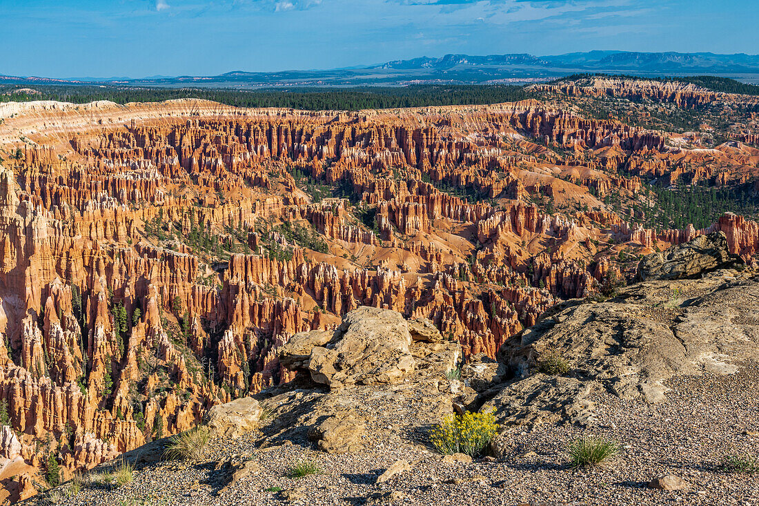 Hiking through the Bryce Canyon Ampitheater reveals many HooDoo's and other beautiful sites