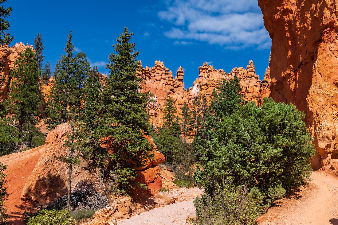 Hiking through the Bryce Canyon Ampitheater reveals many HooDoo's and other beautiful sites