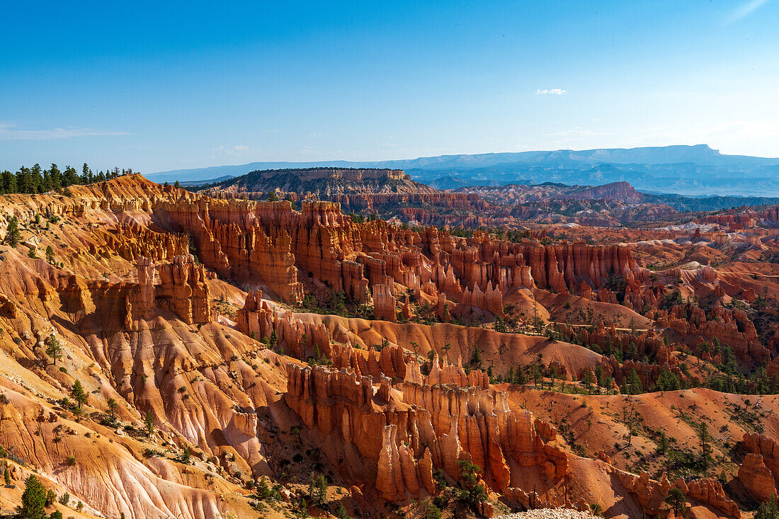 Hiking through the Bryce Canyon Ampitheater reveals many HooDoo's and other beautiful sites