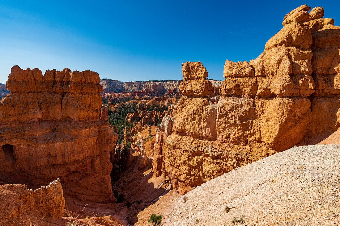 Hiking through the Bryce Canyon Ampitheater reveals many HooDoo's and other beautiful sites