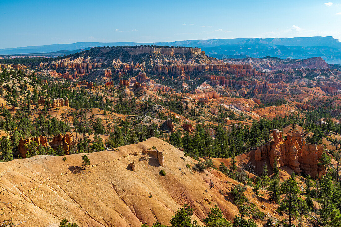 Hiking through the Bryce Canyon Ampitheater reveals many HooDoo's and other beautiful sites