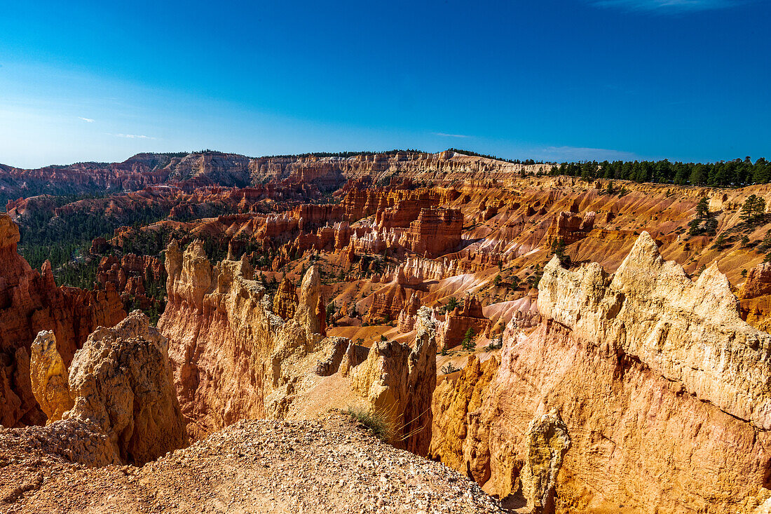 Hiking through the Bryce Canyon Ampitheater reveals many HooDoo's and other beautiful sites