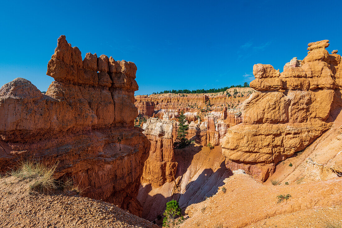 Hiking through the Bryce Canyon Ampitheater reveals many HooDoo's and other beautiful sites