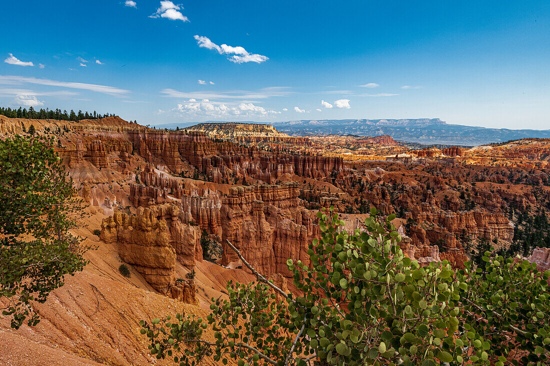 Walking along the rim of the Bryce Ampitheater provides you with multiple different views of the canyon and the Hoo Doos