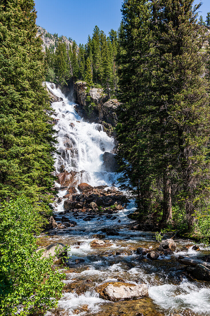 Views of Hidden Falls on the Jenny lake trail