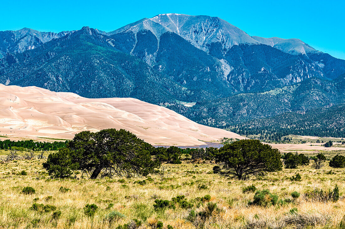 Große Sanddünen im Morgenlicht, San Luis Valley vor den Sangre De Cristo Mountains, Rocky Mountains, Colorado, USA