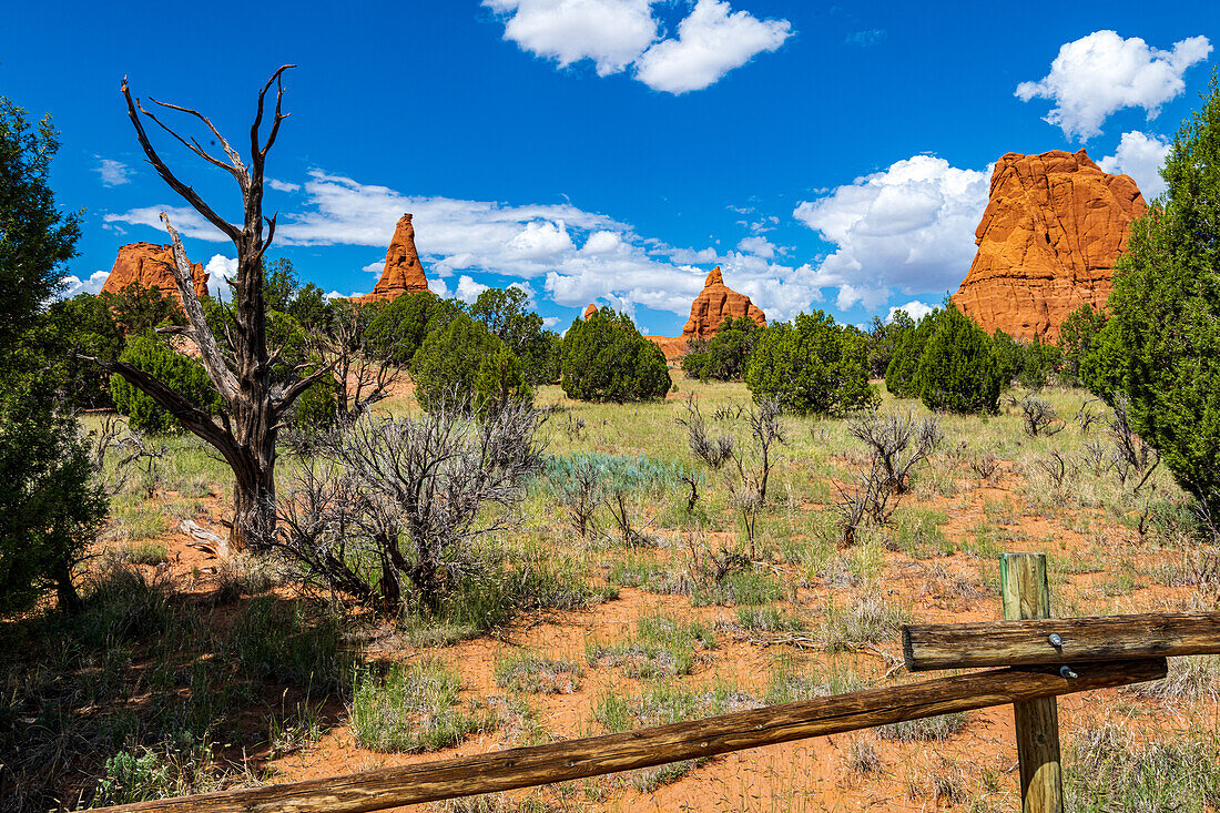 Monolithische Felsformationen im Kodachrome-Becken, Kodachrome Basin State Park, Utah, USA