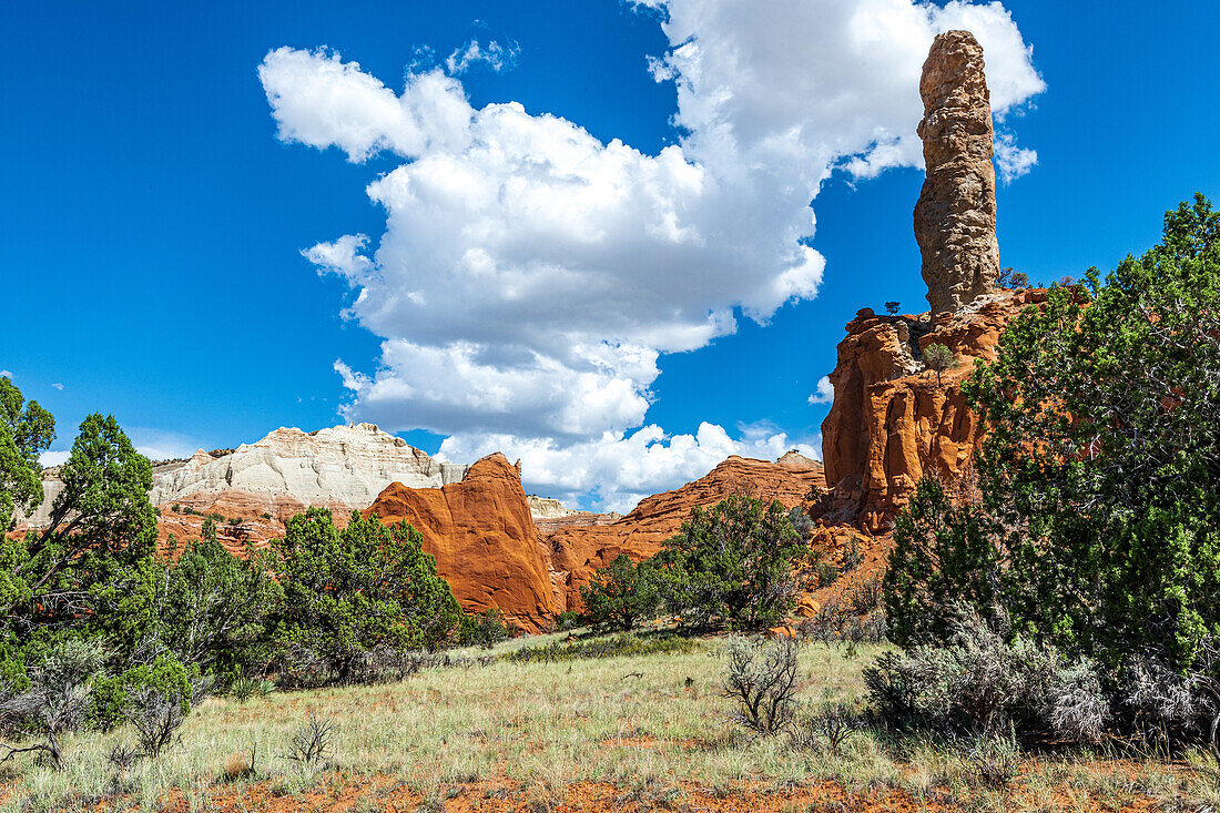 Monolithische Felsformationen im Kodachrome-Becken, Kodachrome Basin State Park, Utah, USA