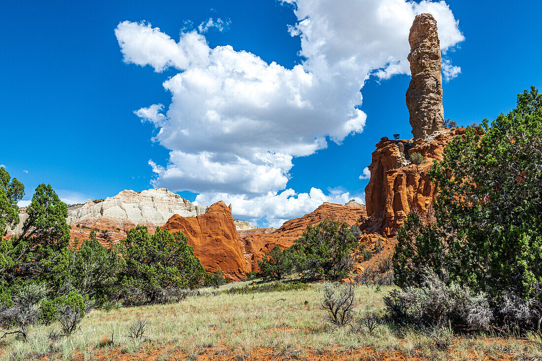 Towering monolithic spires or chimneys jut up from the valley floor or protrude from the sandstone rocks that surround Kodachrome Basin and inspire an infinite array of subjects limited only by one’s imagination