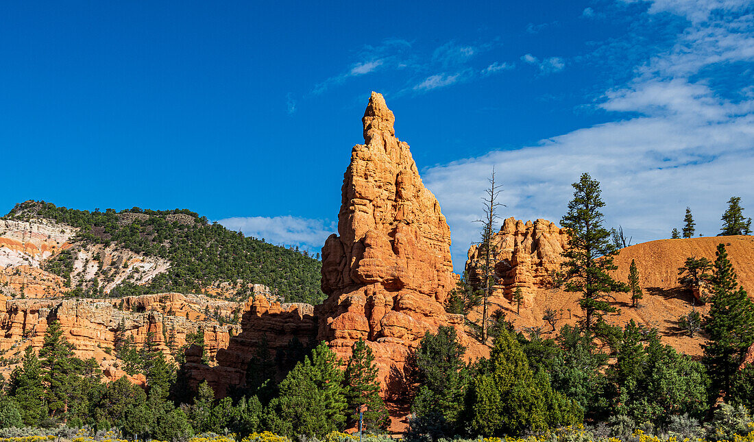 Rote Felsformationen im Dixie National Forest, Red Canyon, Utah, USA