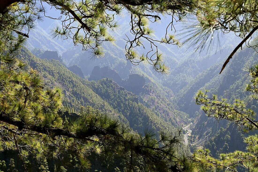 Barranco de las Angustias in der Caldera von La Palma, Kanarische Inseln, Spanien